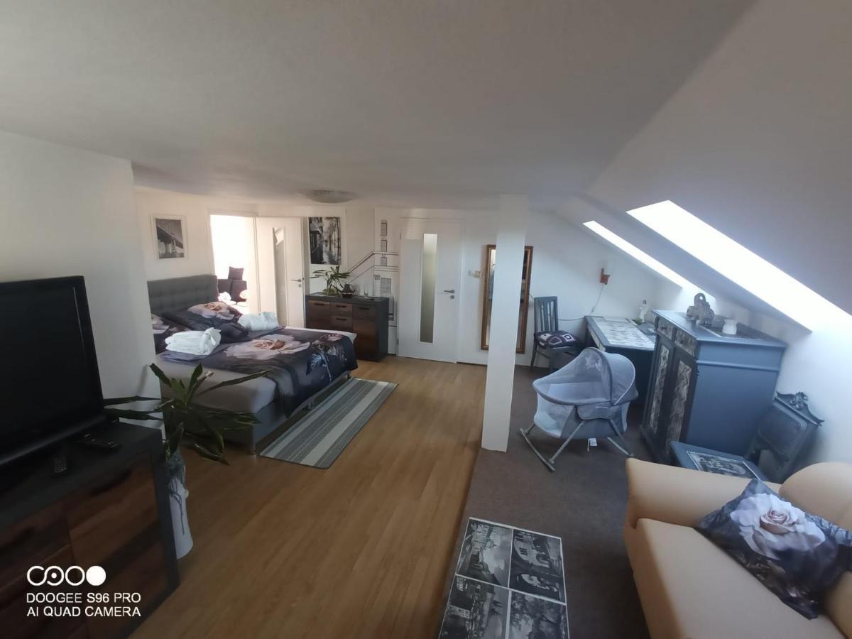 Podkrovni Apartman Tereza Appartement Rumburk Buitenkant foto