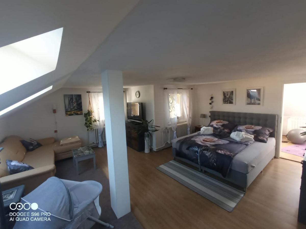 Podkrovni Apartman Tereza Appartement Rumburk Buitenkant foto