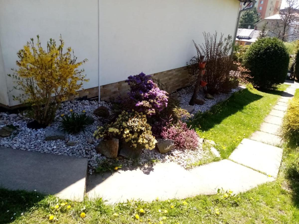 Podkrovni Apartman Tereza Appartement Rumburk Buitenkant foto